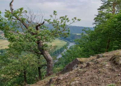 Pohled na řeku